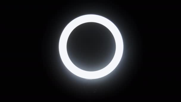 Mano maschile fare gesti, mostrando dito medio attraverso il cerchio di luce su sfondo nero — Video Stock