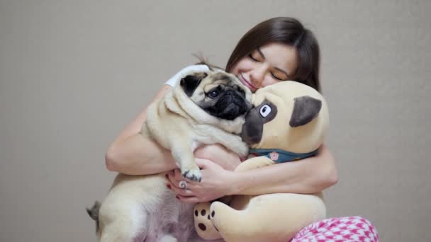 Beautiful woman hugs pug dog and toy pug at home — Stockvideo