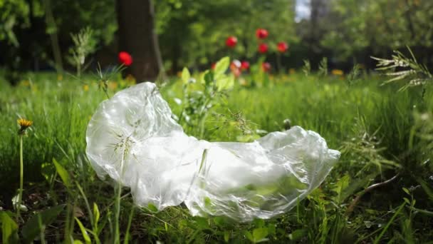 Plastikverschmutzungskonzept. Das Paket liegt im Gras im Park — Stockvideo