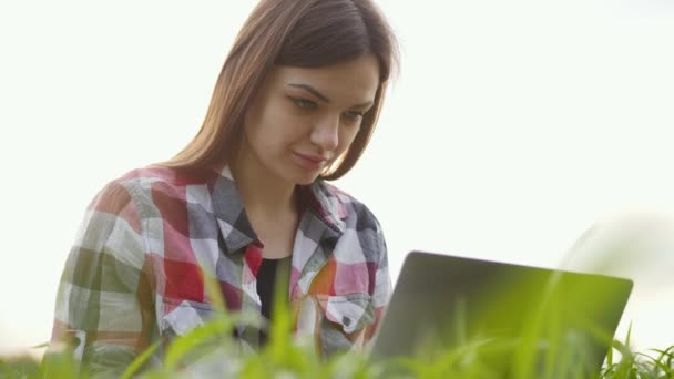 Kobieta rolnik pracuje na laptopie na polu zielonej pszenicy, inteligentny nowoczesny agronomista. — Wideo stockowe