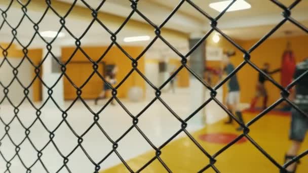 Verschwommene Kämpfer machen ein Aufwärmtraining, joggen durch die Turnhalle, bevor sie hinter Gittern trainieren. Unerkennbare Kämpfer — Stockvideo