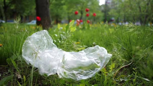 Konceptet med föroreningar av plast. Paketet ligger i gräset i parken — Stockvideo