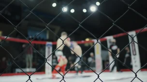 Rozmazané bojovníci bojovat v osmiúhelníku, smíšených bojových umění turnaj — Stock video