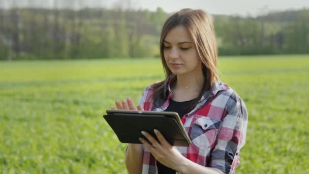 밀 밭에서 디지털 태블릿을 사용하는 현대 농부를 클로즈업. 식물의 성장을 검사하는 일 — 비디오