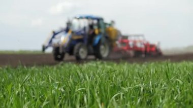 Tarlada tohum sürücüleri olan bulanık traktör, ekinler, yeşil buğday