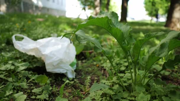 Plastik kirliliği kavramı. Paket parktaki çimlerde yatıyor. — Stok video