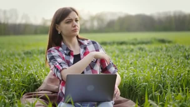 Mulher agrônomo trabalhando no laptop no campo de trigo verde e afasta insetos — Vídeo de Stock