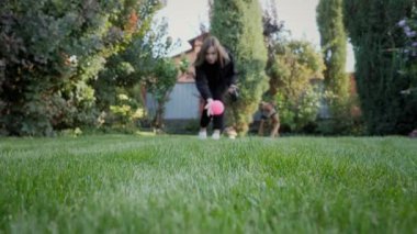 Oyuncu Alman boksör köpek yavrusu küçük topu kovalıyor, köpek kameraya doğru ağır çekimde koşuyor ve bir oyuncak yakalıyor.