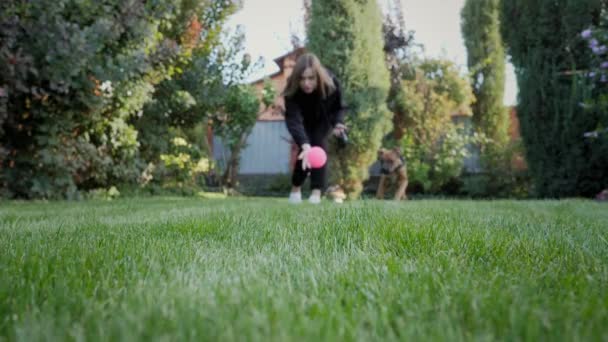 玩世不恭的德国拳击手小狗追逐小球，狗儿慢吞吞地跑到摄像机前抓起玩具 — 图库视频影像