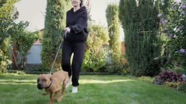 Aktif Alman boksör köpek yavrusu kameraya doğru koşar, köpek çimenliğin üzerinde sahibiyle yürür.