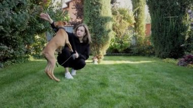 Kadın yeşil arka bahçede köpeğiyle oynuyor. Aktif bir Alman boksör köpeği atlıyor ve el avına çıkıyor.