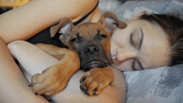 Όμορφη νεαρή γυναίκα κοιμούνται μαζί με το σκυλί της στο κρεβάτι στο σπίτι, αγκαλιάζει αξιολάτρευτο κουτάβι σε κοντινό πλάνο — Αρχείο Βίντεο
