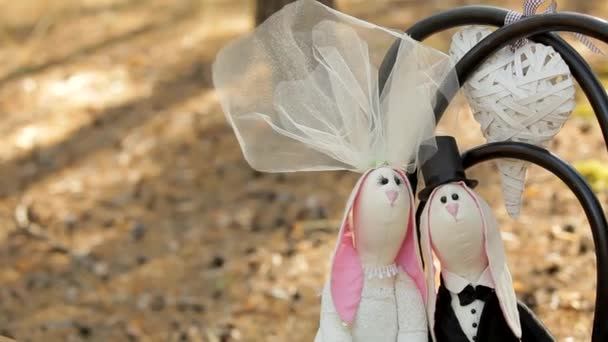 Свадебный декор - зайцы невесты и жениха на стуле в лесу — стоковое видео