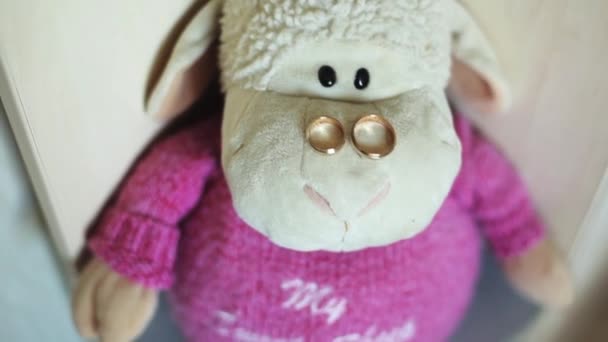 羊玩具-结婚戒指的鼻子上 — 图库视频影像