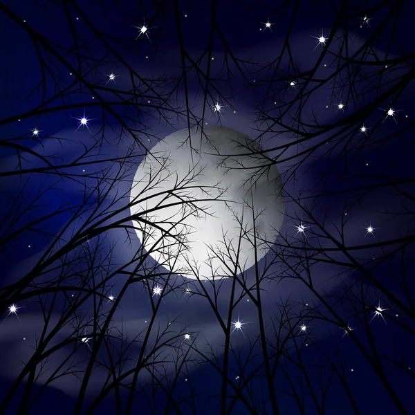Moon night landscape. Vector illustration — Stock Vector