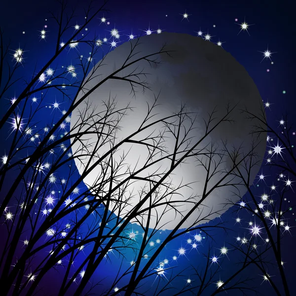 Moon night landscape. Vector illustration — Stock Vector