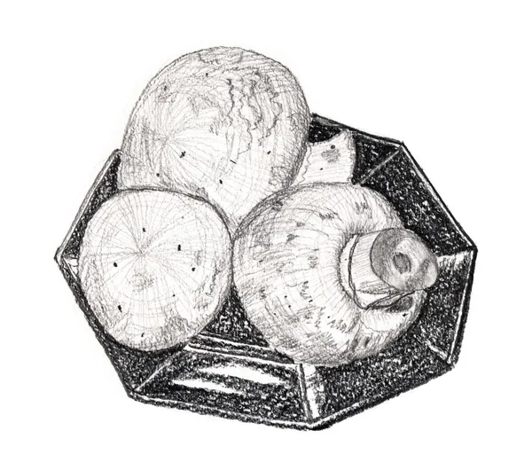 Svamp champinjon - en blyertsteckning. 3 svamp på en tallrik. — Stockfoto