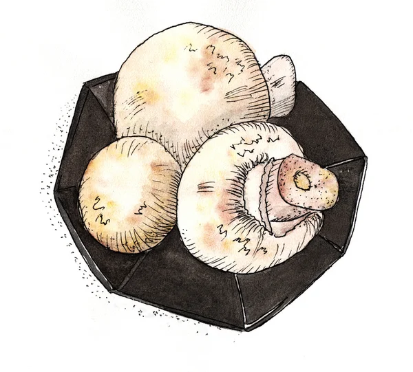 Cogumelos Champignon - desenho a aquarela. 3 cogumelos em uma chapa . — Fotografia de Stock