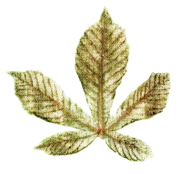 Stamp of leaves of chestnut on the fabric. Natural seal. Eco Printing — Stock Photo, Image