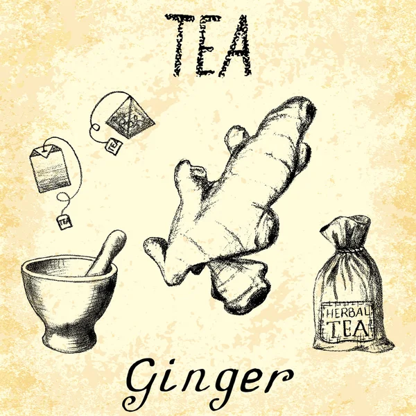 Ginger herbal tea. Set of vector elements on the basis hand pencil drawings. — Stock Vector