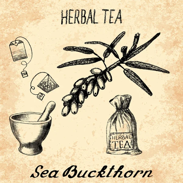 Sea buckthorn herbal tea. Set of vector elements — Stock Vector