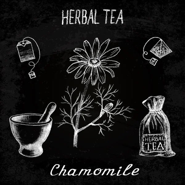 Chamomile herbal tea. Chalk board set of vector elements — Stock Vector