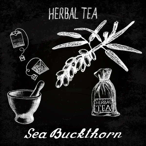 Θάλασσα buckthorn τσάι από βότανα. Κιμωλία Συμβούλιο σύνολο των στοιχείων του φορέα — Διανυσματικό Αρχείο