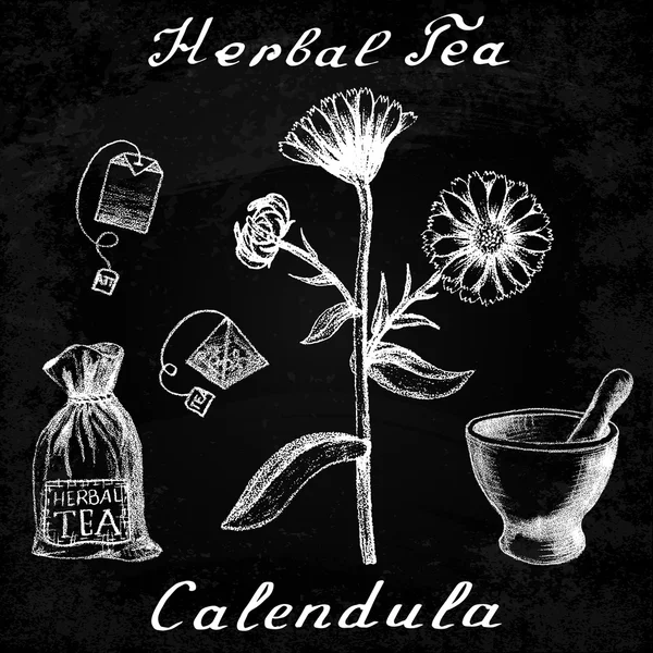 Calendula hand getrokken schets botanische illustratie op krijt bord — Stockvector