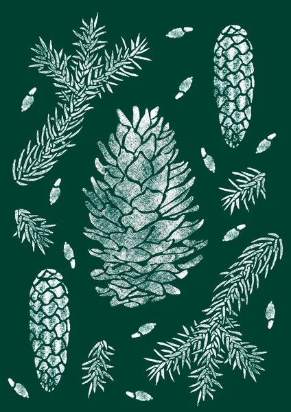 Αφίσα από έλατο απομονωμένη στο πράσινο. Κώνο του φυτού Picea. — Φωτογραφία Αρχείου