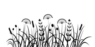 Yabani ot. Çayır ve tarla eker. Siyah ve beyaz.