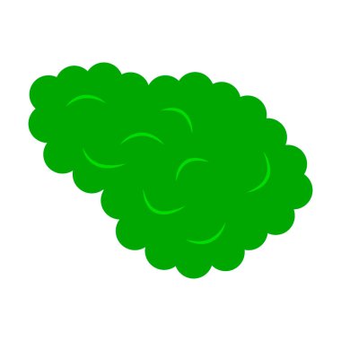 Marul yaprağı Sebzeler Tüm gıda vektör illüstrasyonu