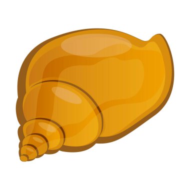 Deniz kabuğu. Beyazda izole edilmiş. Su altı dünyası. Vektör