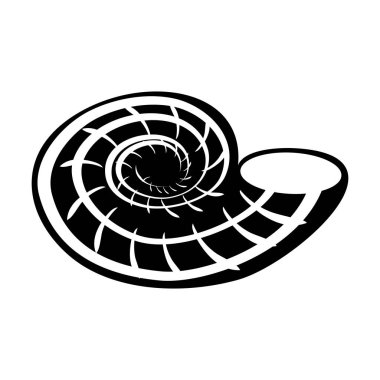 Deniz kabuğu. Beyazda izole edilmiş. Su altı dünyası. Vektör