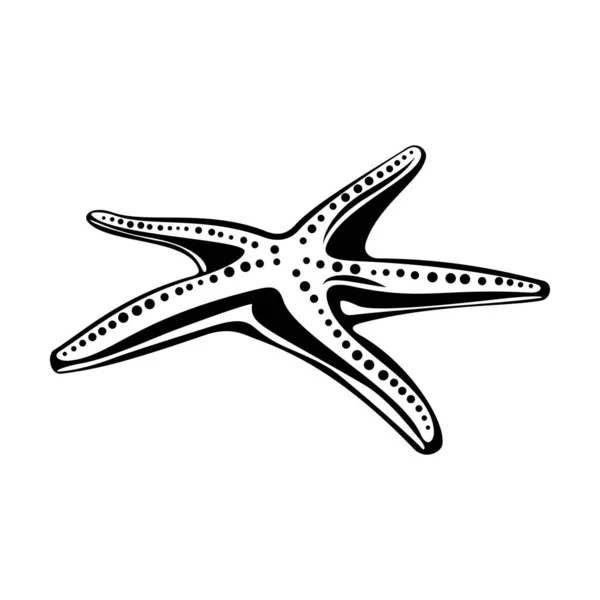 Estrella de mar. Aislado sobre blanco. Mundo submarino. Vector — Archivo Imágenes Vectoriales