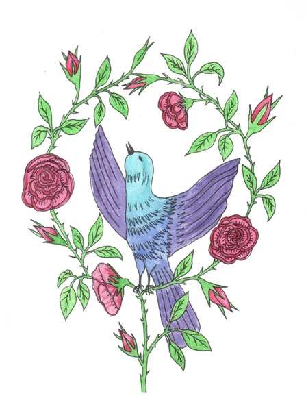 Bird with roses — Stock Fotó