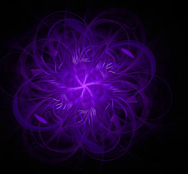 Fraktal kwiat wstążki fioletowy — Zdjęcie stockowe