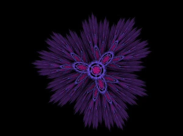 Abstract fractal prickly flower purple — Stock Photo, Image