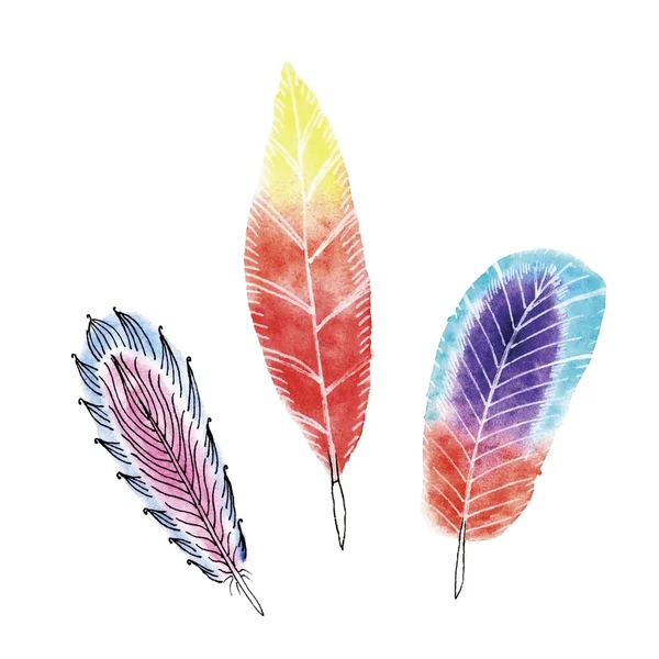 Set of three watercolors feathers — Stock Vector