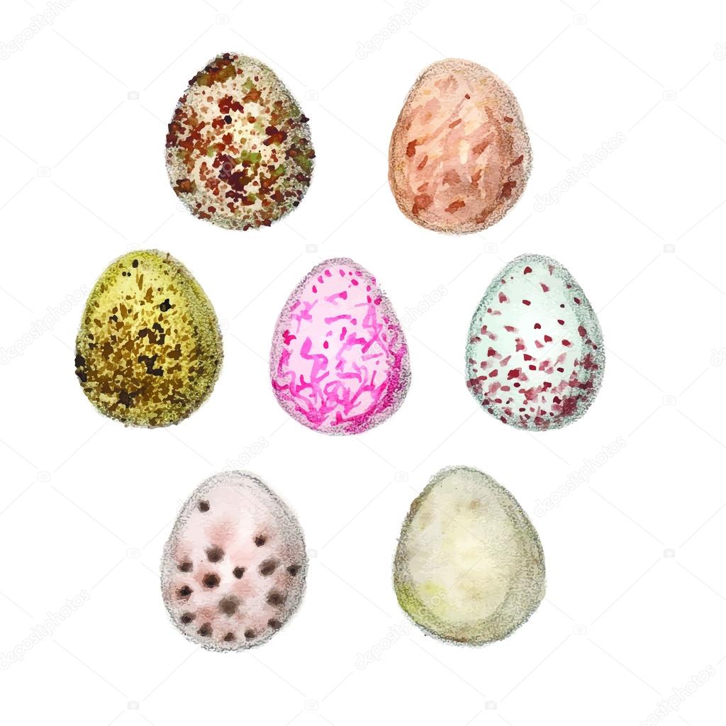 Set of seven watercolors eggs