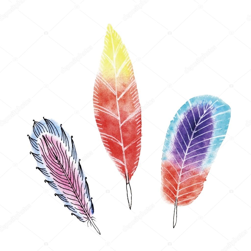 Set of three watercolors feathers