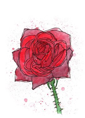 Gül çiçek el yapımı suluboya resim