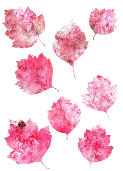 Sada podzimních listů izolovaných na bílém pozadí — Stock fotografie