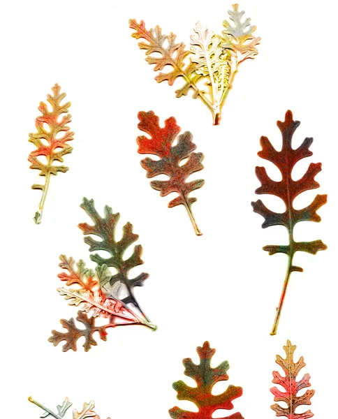 Fondo grunge con hojas de otoño —  Fotos de Stock