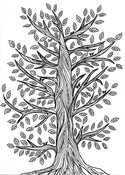 Handmade graphic drawing of a tree with leaves — Stock Photo, Image