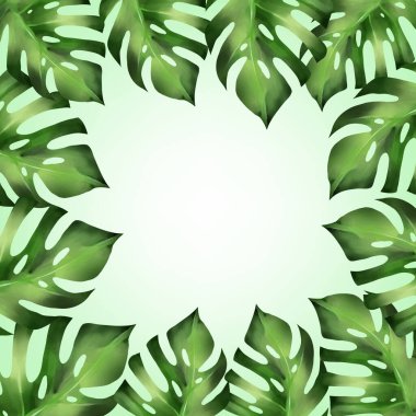 Yeşil ışık arka planına sahip tropikal yapraklar