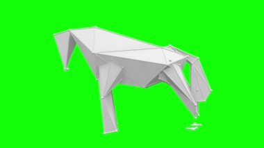 beyaz at düşük çokgen