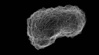 Anatomi, beyin ve dalgaları, moleküler kafes, döngü rotasyonu, alfa kanalı