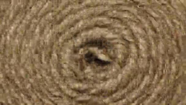 Radial background,rotates a coil of rope — Stock Video