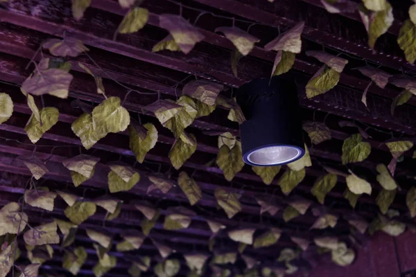 Bu kahve dükkanı lambası, vitrinin daha güzel ve doğal görünmesini sağlayan sarmaşıkların birleşimiyle tasarlandı..