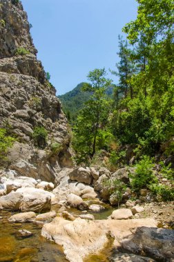 Dağlardaki dağ nehri